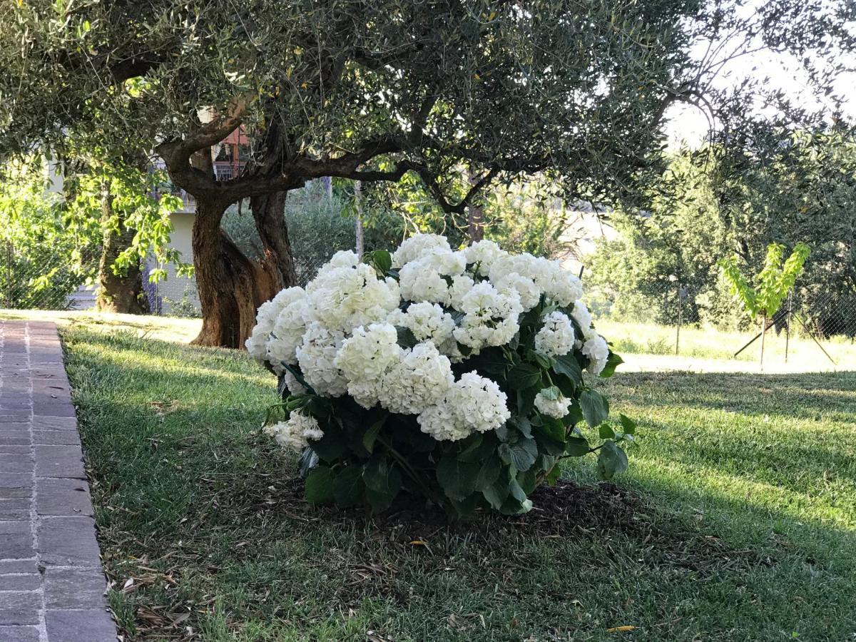 Antica Fonte Holiday Home Tavullia Exterior foto